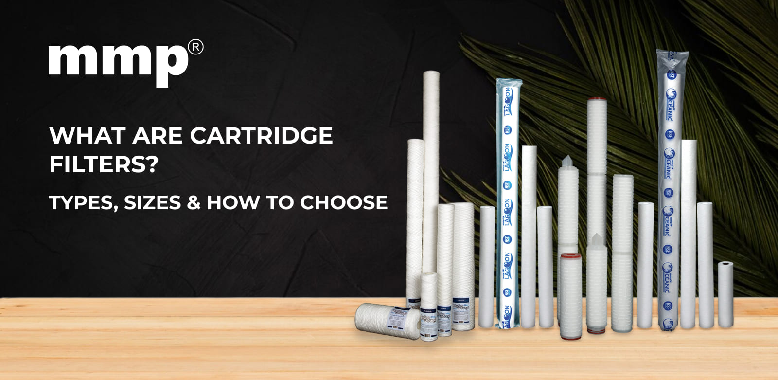 what are cartridge filters