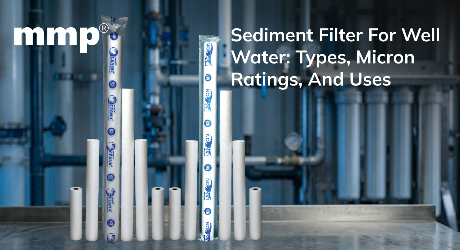 Sediment Filter for Well Water