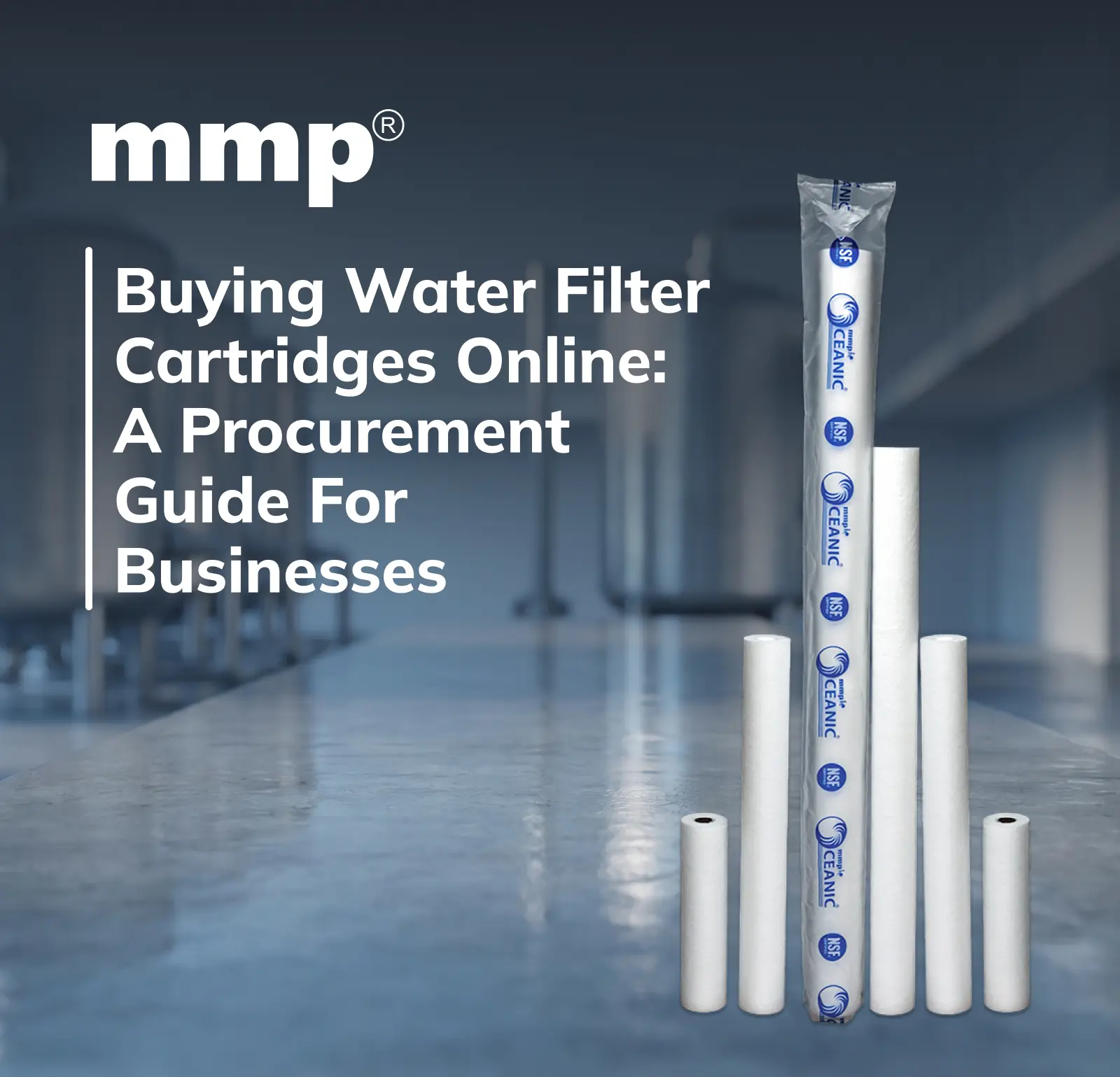 Buying Water Filter Cartridges Online: A Procurement Guide for Businesses