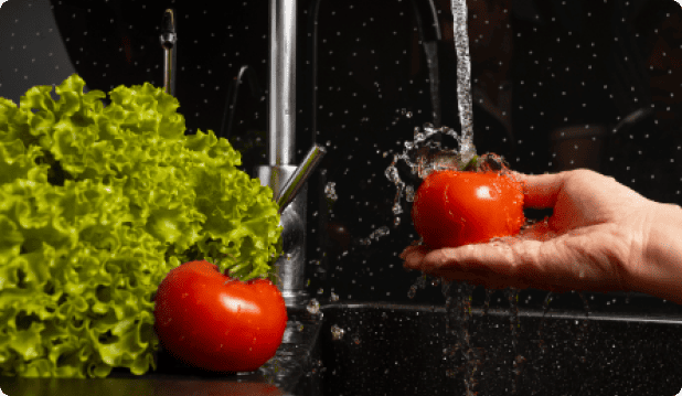 Food Filtration Solutions